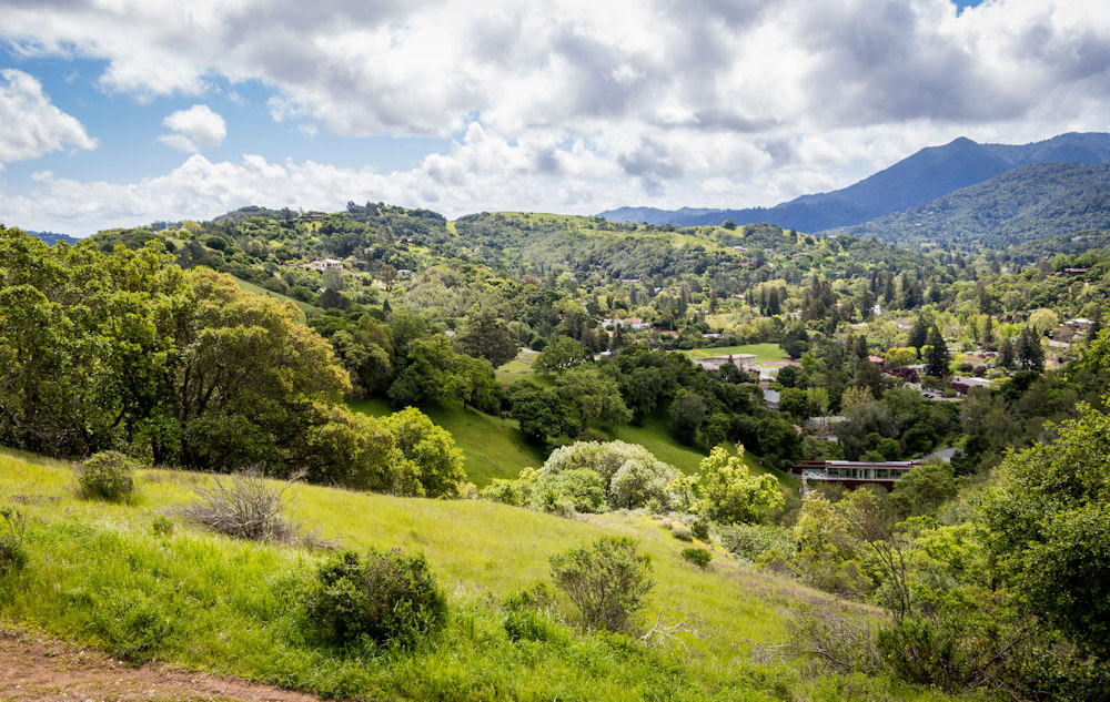 drug rehab san anselmo