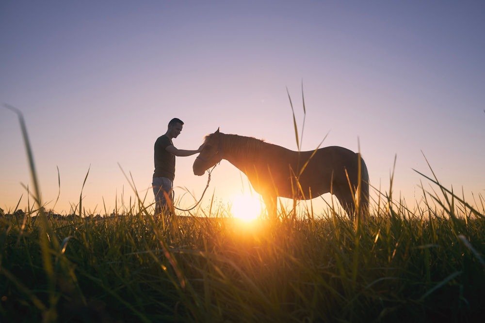 a man and horse with sunset on background